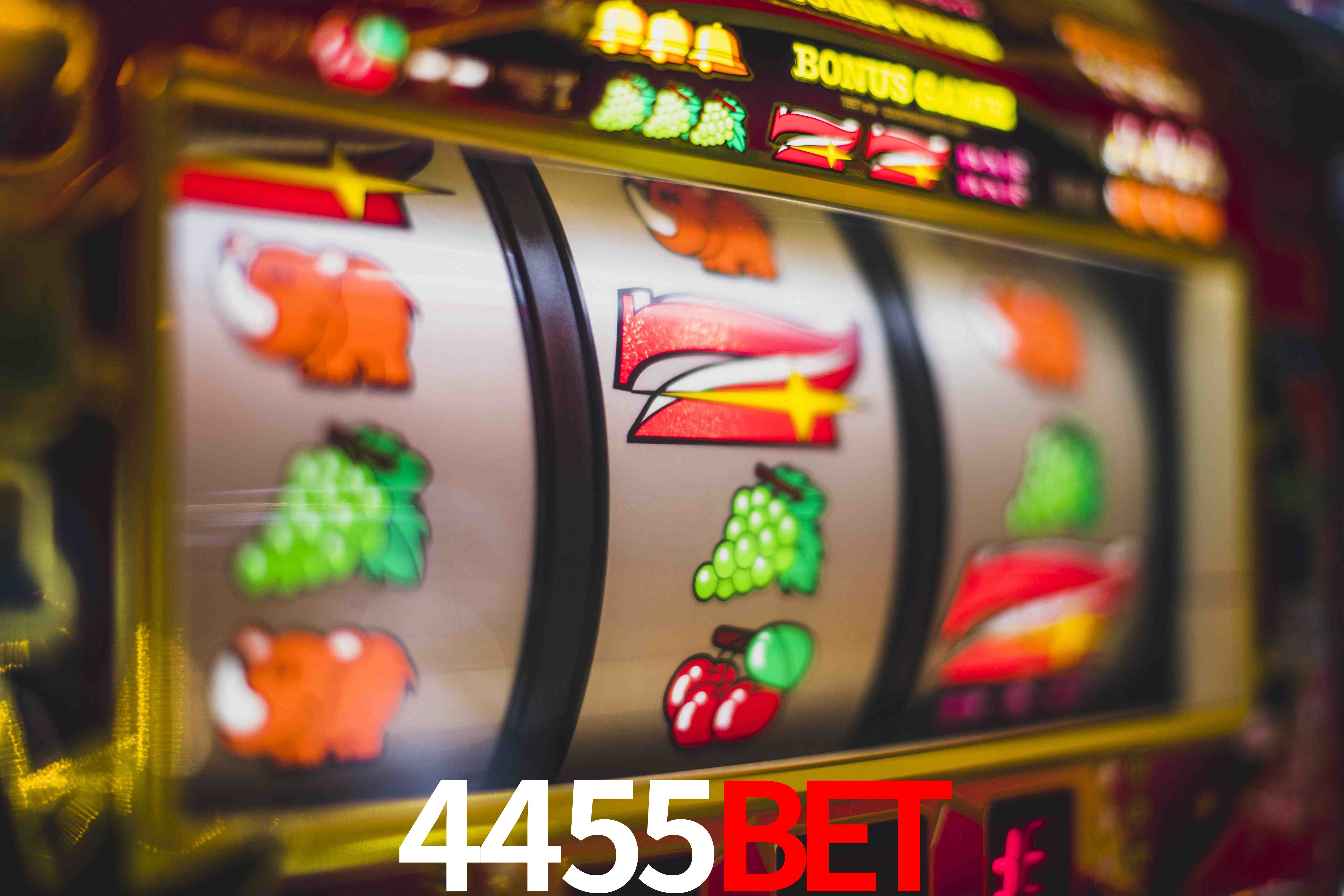 VIP Casino 4455Bet